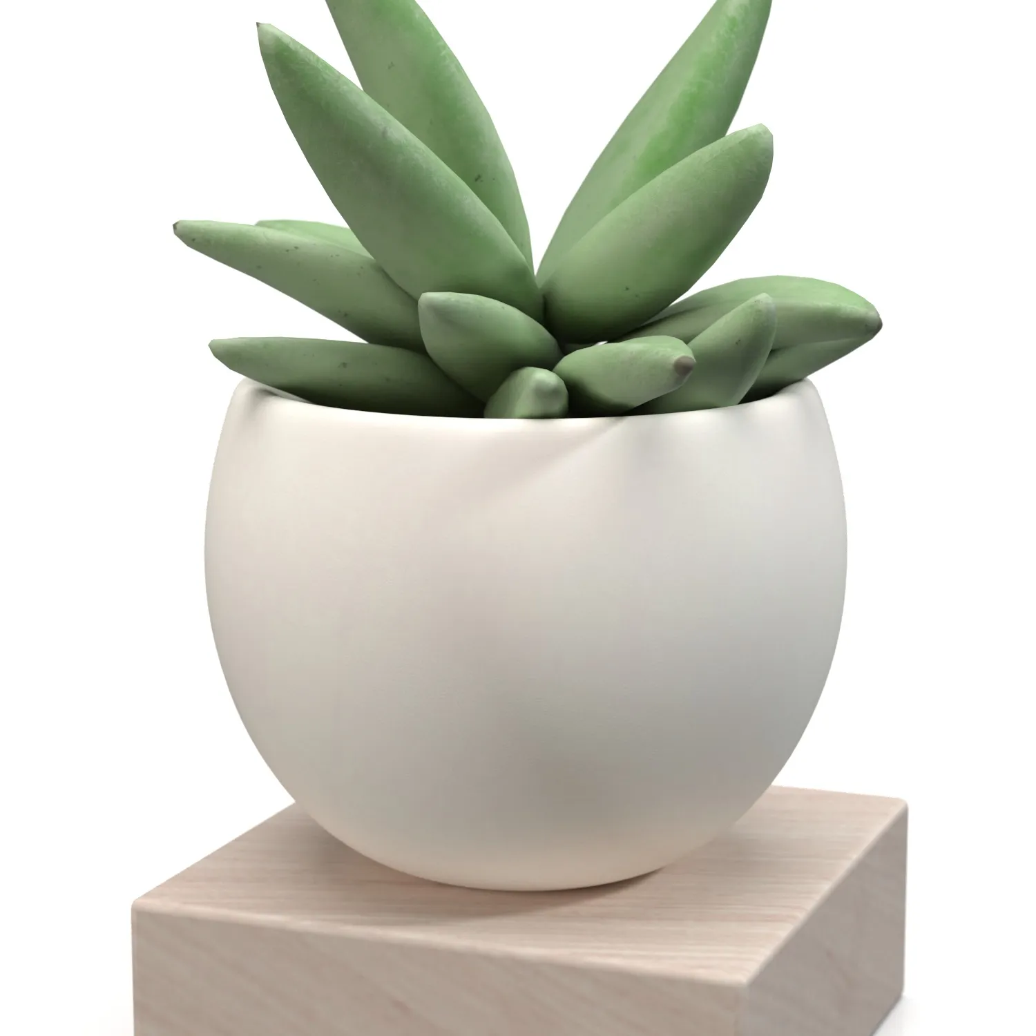 Mini Decorative Fake Succulent Artificial Plants PBR 3D Model_05